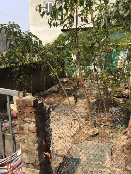 Mảnh đất ô tô vào - Thanh Trì, dt40m, không lỗi, ngõ nông 3.3 tỷ - Ảnh 1